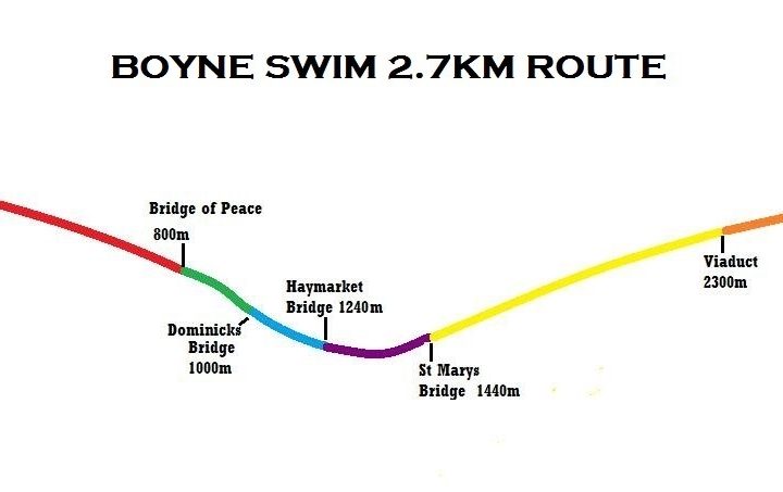 Boyne Swim 2014 a huge success!